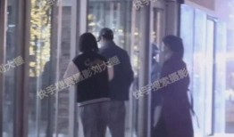 刘大锤爆料翻车视频大全,揭秘网络舆论背后的真相